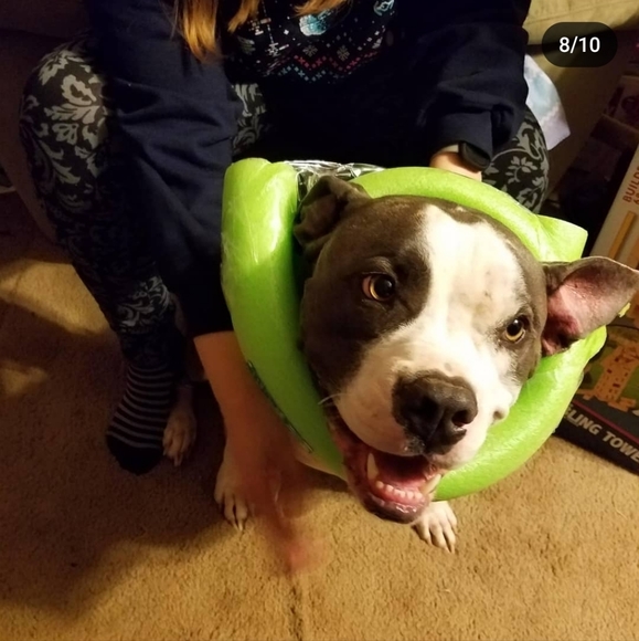 Brandy's LIVE! Jump in for some humor only blantonbrandy can provide! - Picture 12 of 16